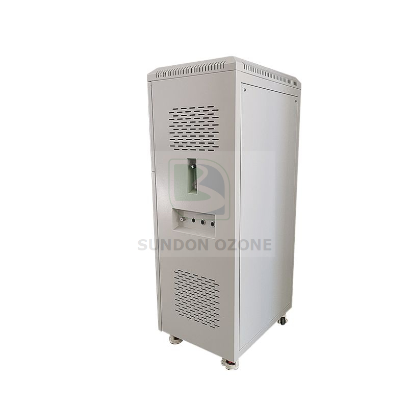 Ozone Generator Machine 150g 200g for Water