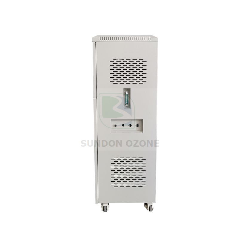 Ozone Generator Machine 150g 200g for Water