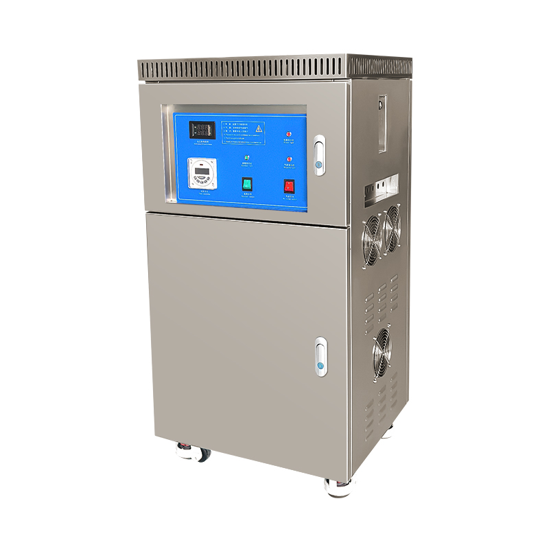 5g 10g 20g 30g 50g 200g Plate Good Ozone Generator for Water with Oxygen Concentrator Built-in