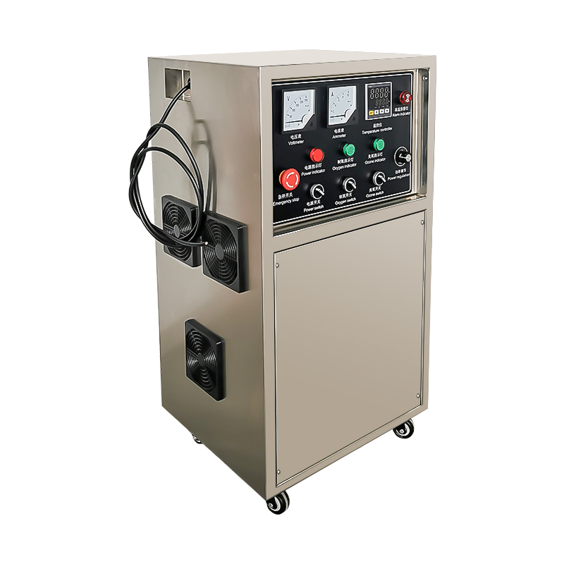 20g 30g 50g 100g 200g 24-hour Continuous Operation Ozone Generator for Water with Air Cooling