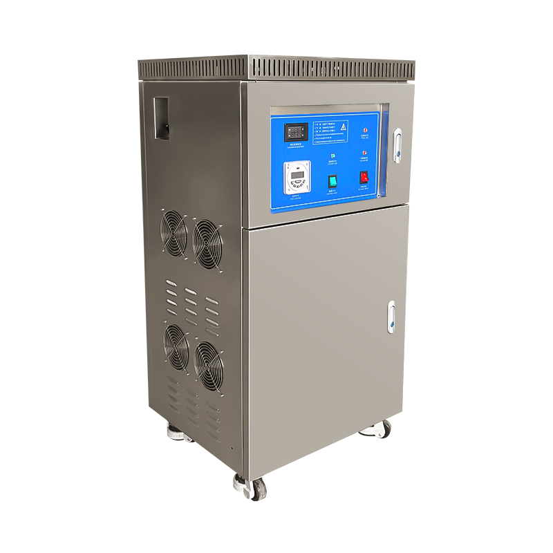 5g 10g 20g 30g Plate Good Ozone Generator for Water Purify with Oxygen Concentrator Built-in