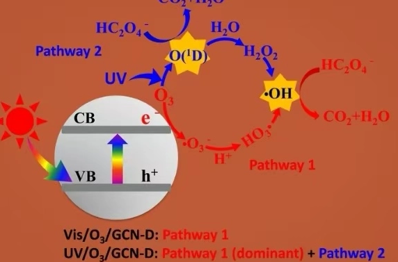 마이크로나노오존기포를 이용한 음용수공장의 유기물 강화처리기술에 관한 연구