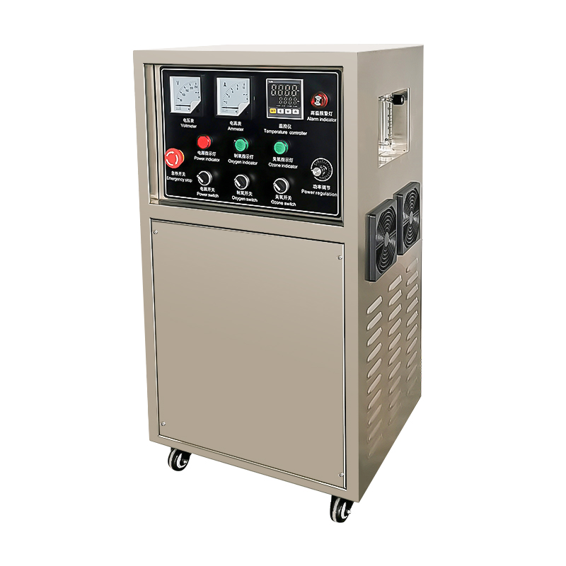20g 30g 50g 100g 200g 24-hour Continuous Operation Ozone Generator for Water with Air Cooling