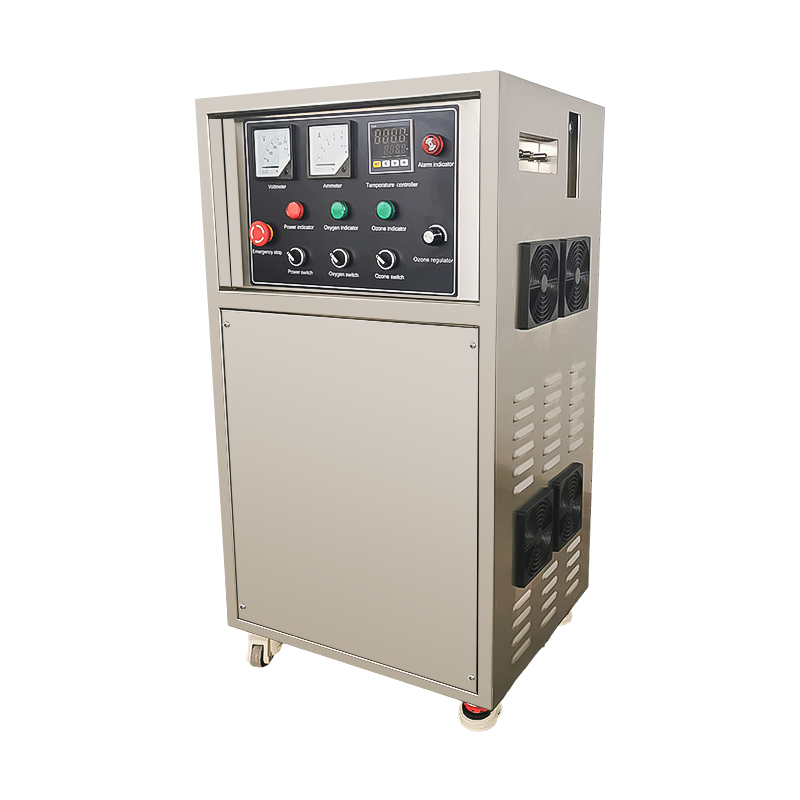 20g 30g 50g 100g 200g 24-hour Continuous Operation Ozone Generator for Water with Air Cooling