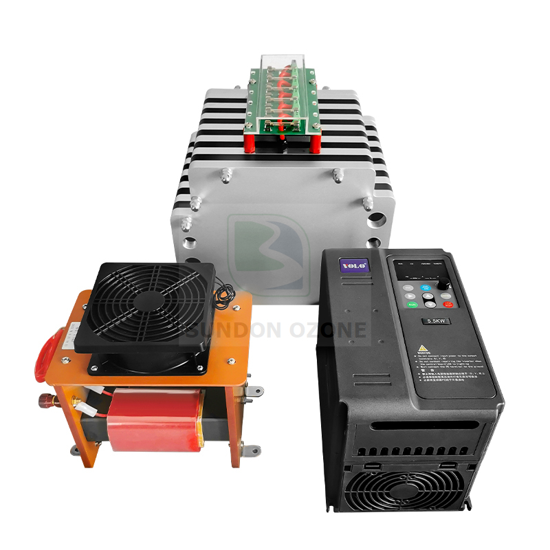 300G 220v 380v Ceramic Plate Type High Ozone Concentration Ozone Generator for Water Treatment