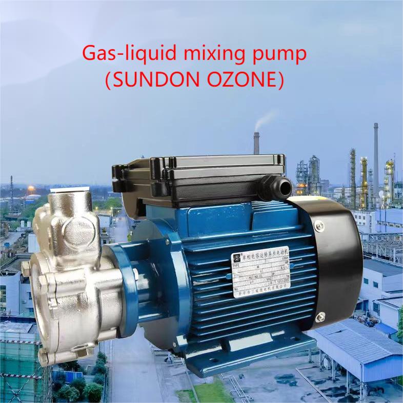 Gas-liquid mixing pump