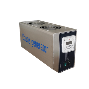 Wall-Mounted Ozone Generator for Air Purify