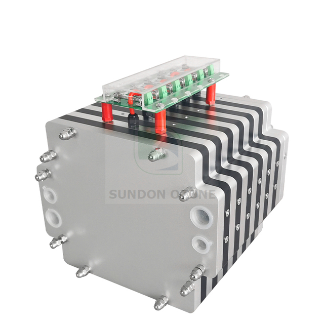 300G 220v 380v Ceramic Plate Type High Ozone Concentration Ozone Generator for Water Treatment