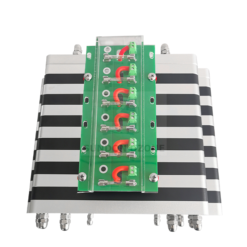 300G 220v 380v Ceramic Plate Type High Ozone Concentration Ozone Generator for Water Treatment