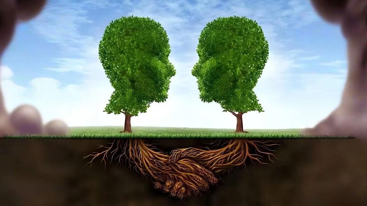 Why Is Ozone Technology Called A "green Disinfection Solution"? Read This And You'll Understand. 