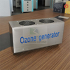 Wall-Mounted Ozone Generator for Air 