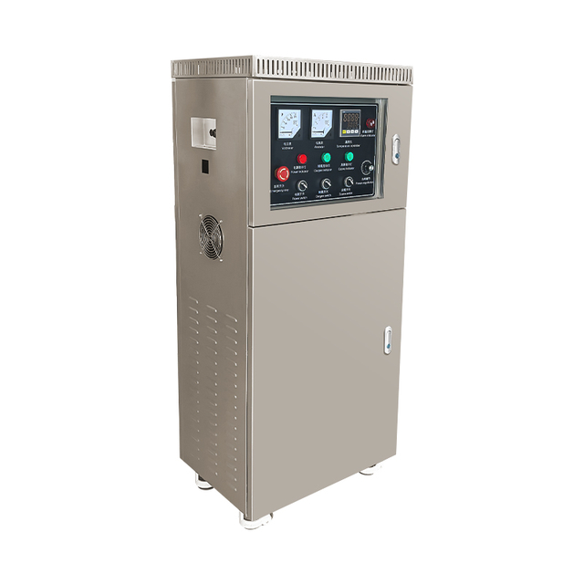 200G 1KG 500G Ozone Generator for Water And Air